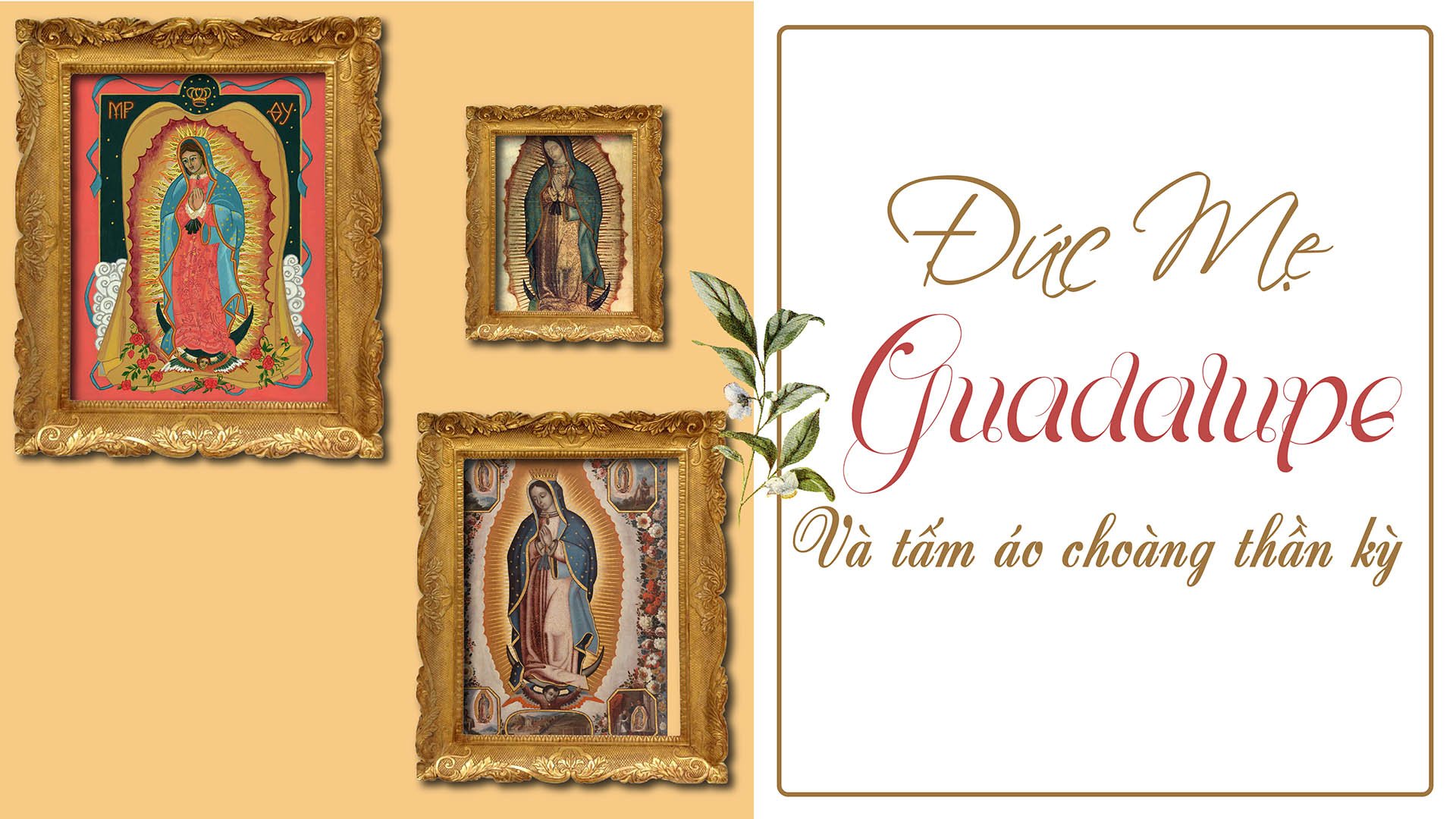 Đức Mẹ Guadalupe và Tấm Áo Choàng Thần Kỳ